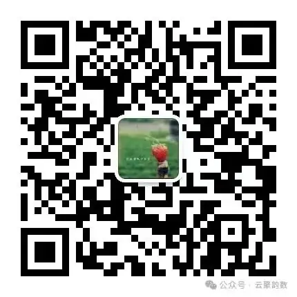 专题四:试题分析案例赏析 案例38:中考新族—空间几何 第4张 专题四:试题分析案例赏析 案例38:中考新族—空间几何 第4张