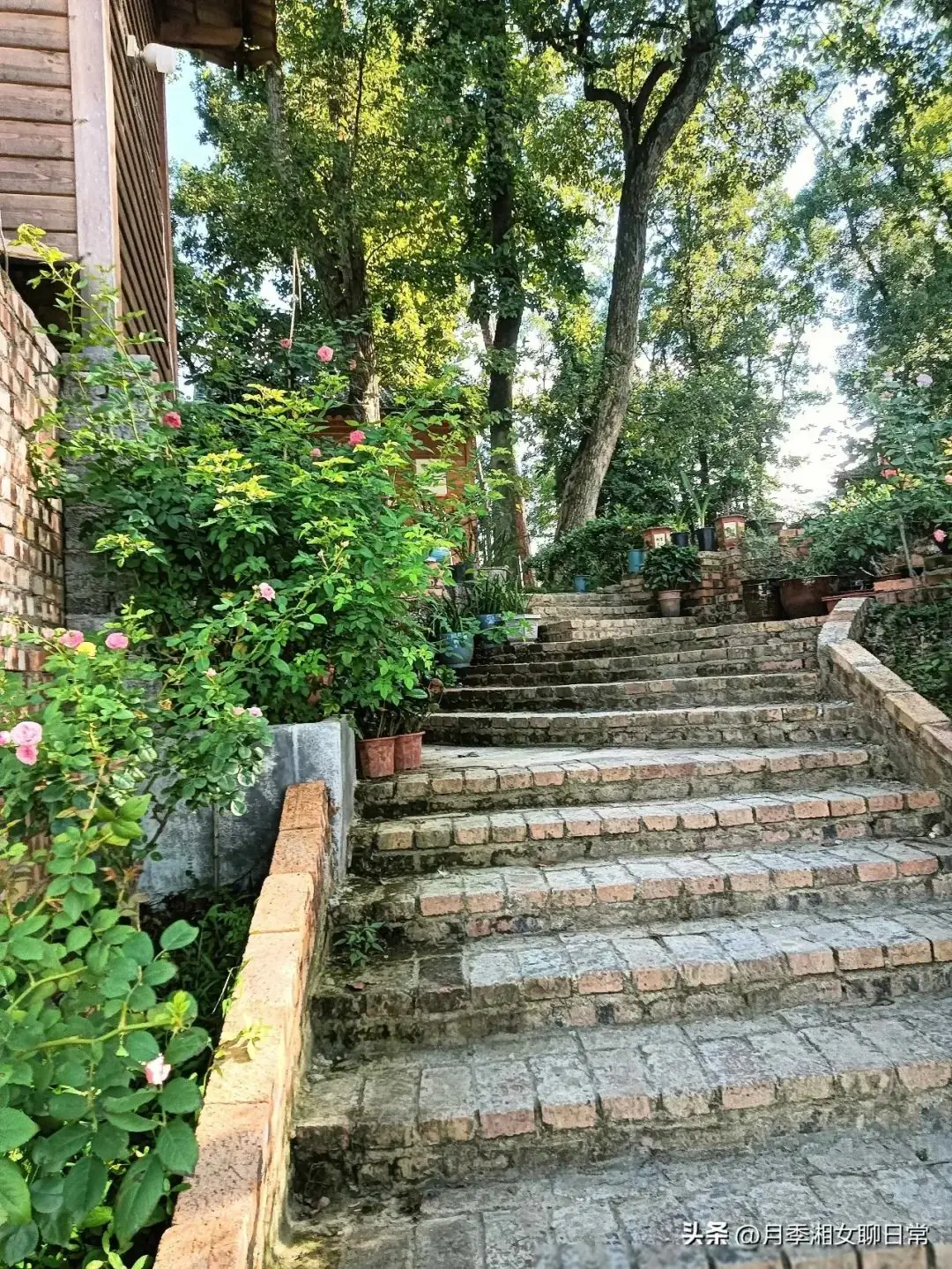 侄子高考290分,弟媳生气叫他滚,我决定把侄子带走-第3张图片-四季读书网