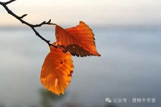 中考作文 ▏2024中考作文超高概率预测:那一刻,我读懂了____(范文3篇) 第2张 中考作文 ▏2024中考作文超高概率预测:那一刻,我读懂了____(范文3篇) 第2张