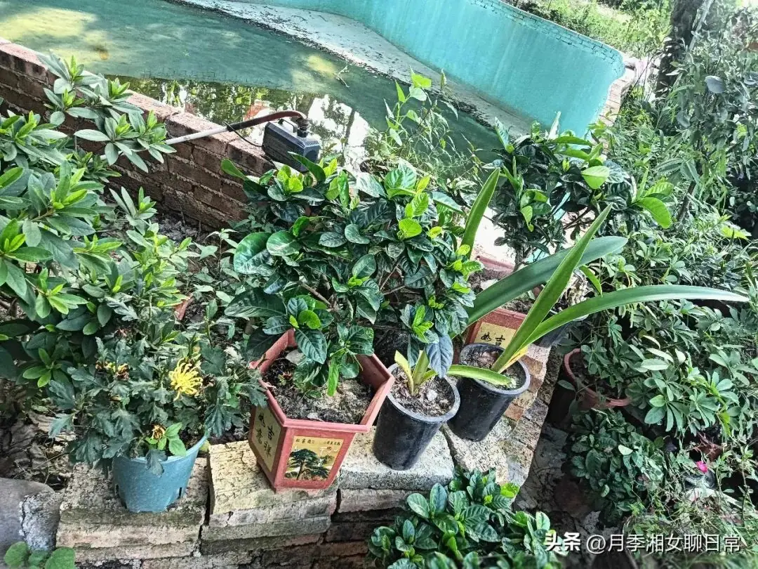 侄子高考290分,弟媳生气叫他滚,我决定把侄子带走-第2张图片-四季读书网