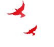 播种梦想  决胜中考——千河镇九年制学校中考百日誓师大会-第5张图片-四季读书网