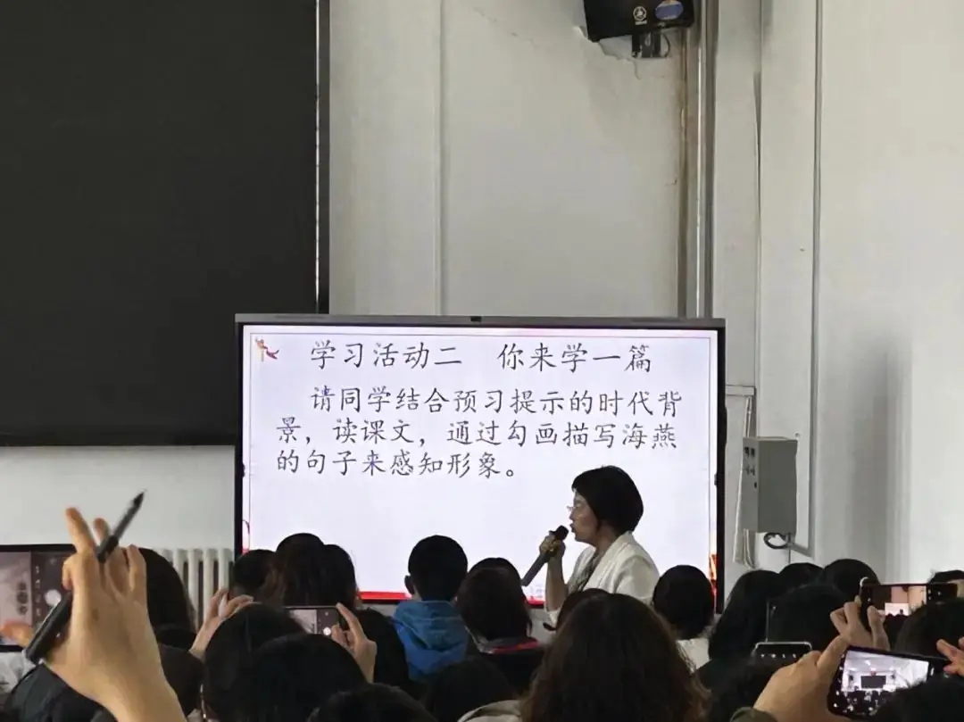 【“双减”进行时】聚焦新中考  教研绽芳华——2024年实验中学初三全体教师春季中考培训纪实-第4张图片-四季读书网
