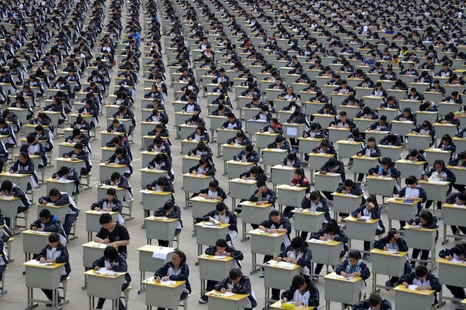 高考留学双保险,出国留学不是高考的“退路”而是另一条“出路”!-第2张图片-四季读书网