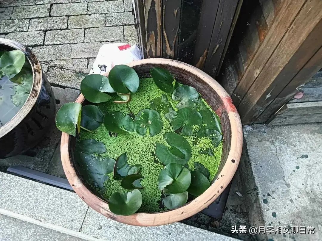 侄子高考290分,弟媳生气叫他滚,我决定把侄子带走-第5张图片-四季读书网