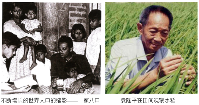 中考必考题型:历史小短文20篇案例-第13张图片-四季读书网