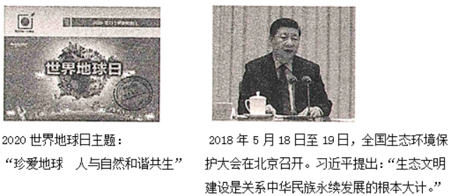 中考必考题型:历史小短文20篇案例-第1张图片-四季读书网