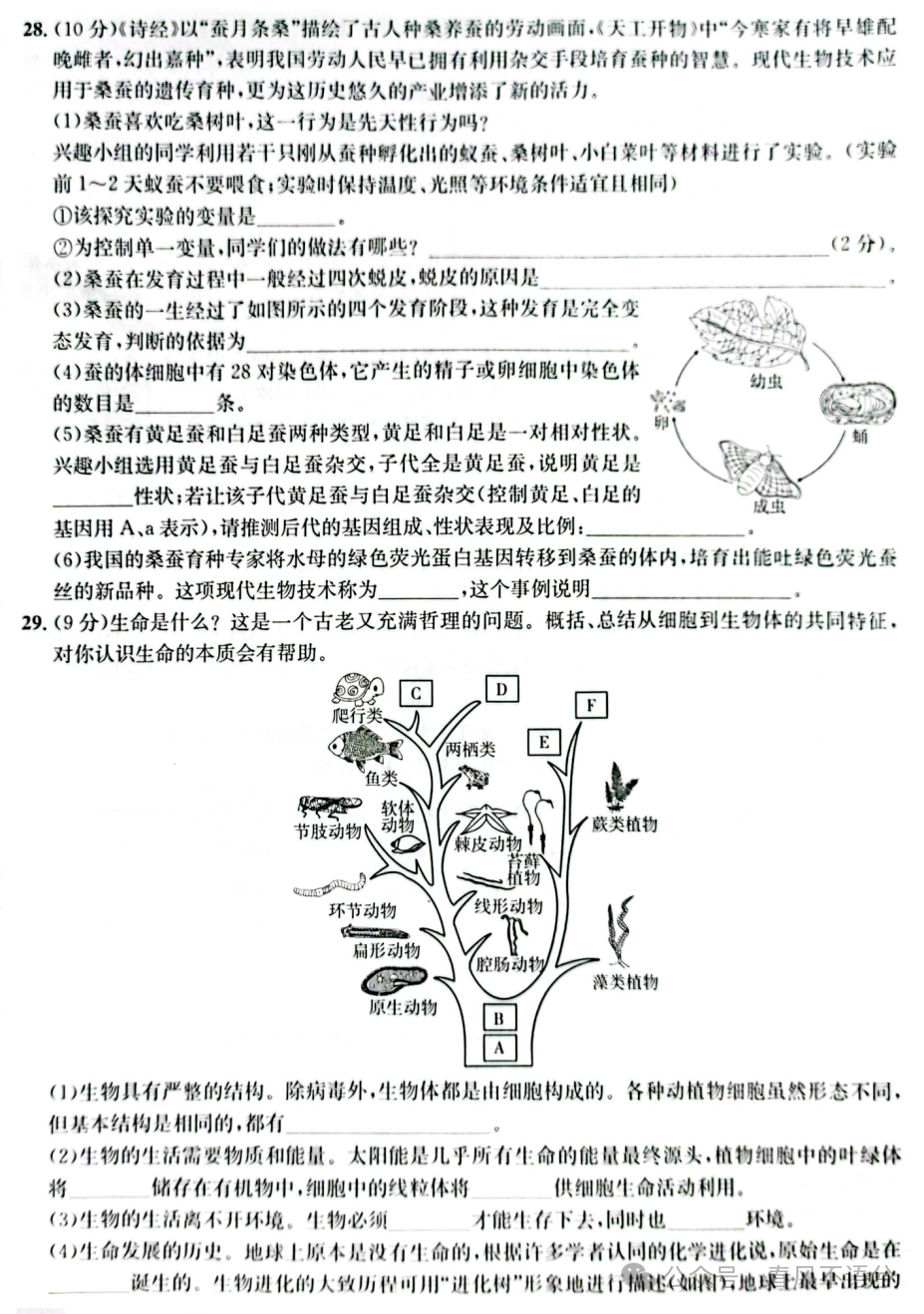 【2023中考试题】2023年山东省东营市中考生物试题及答案解析-第9张图片-四季读书网