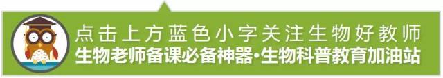 高考生物:病毒专题—高考中的“病毒”-第1张图片-四季读书网