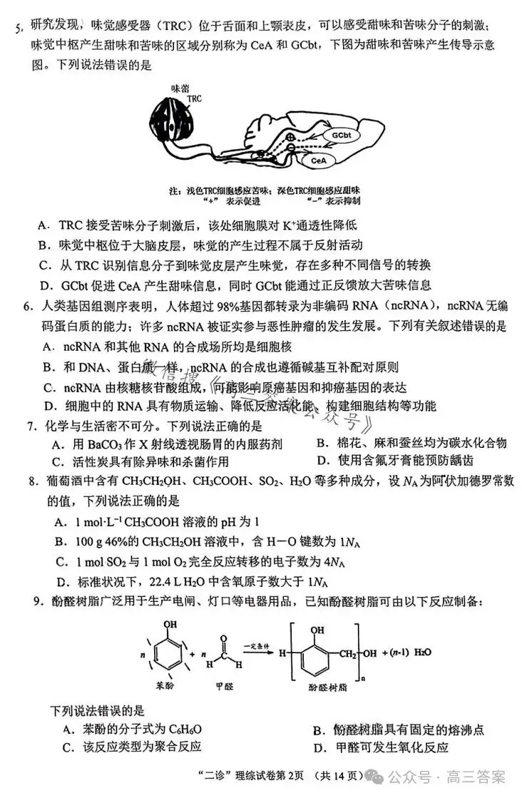 【南充二诊】南充市2024届高考适应性考试(二诊)+答案解析-第38张图片-四季读书网