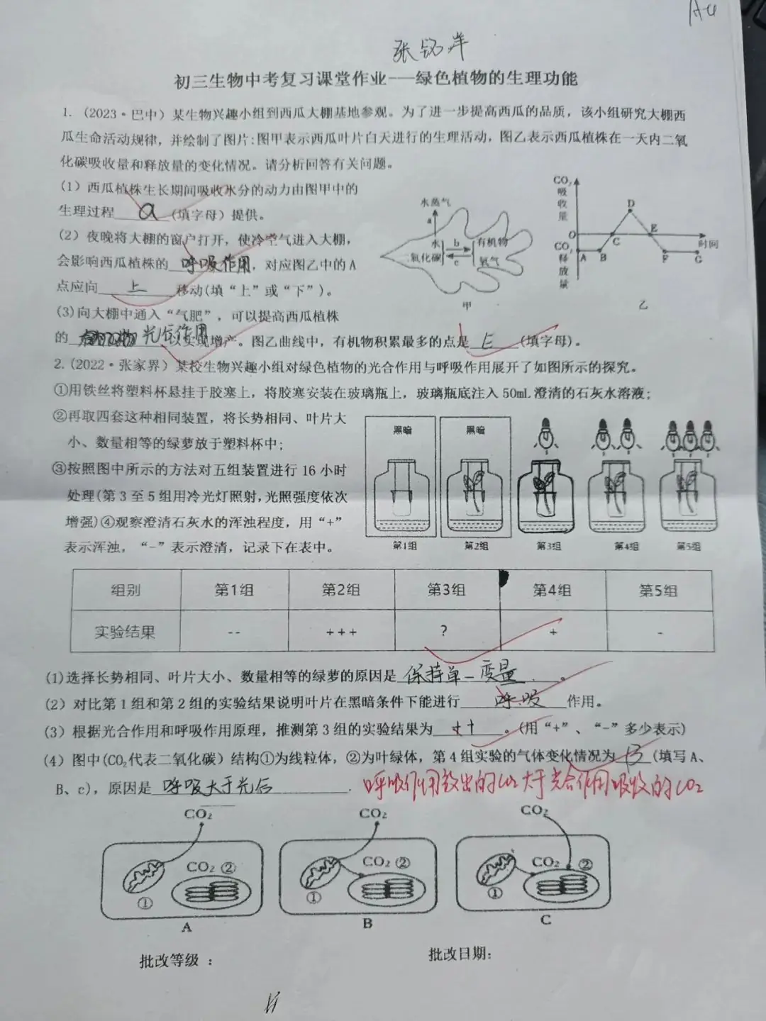 生物小中考复习课堂作业(初一下册合集)-第6张图片-四季读书网