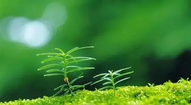 中考英语 | 中考选词填空专练3-第3张图片-四季读书网