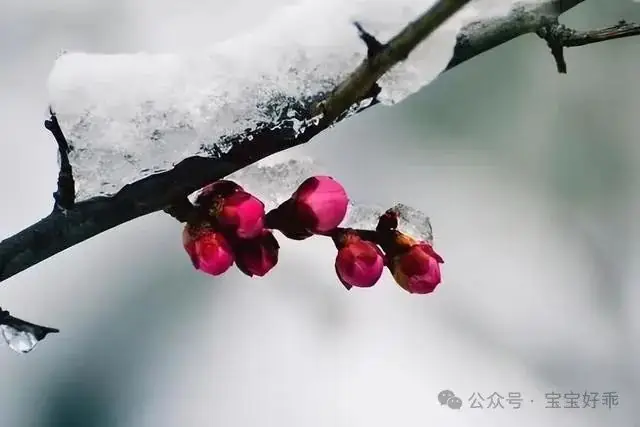 去年高考我儿子估分590,邻家女儿估分620,她妈得意洋洋,被打脸-第2张图片-四季读书网