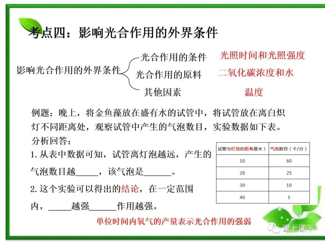小中考复习课件7-----初一下绿色植物的光合作用-第21张图片-四季读书网