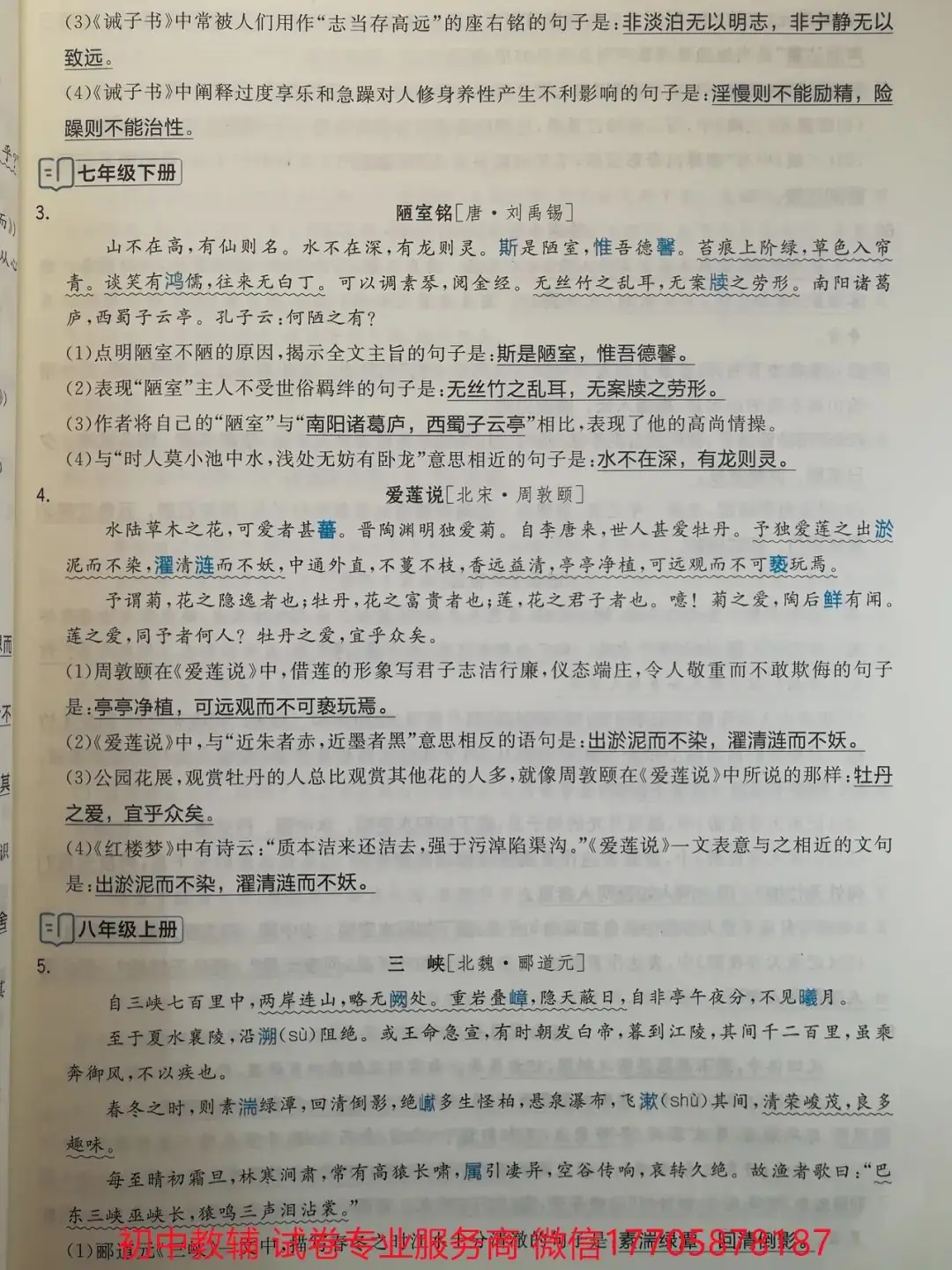 2024全品中考 复习方案 语文-第30张图片-四季读书网