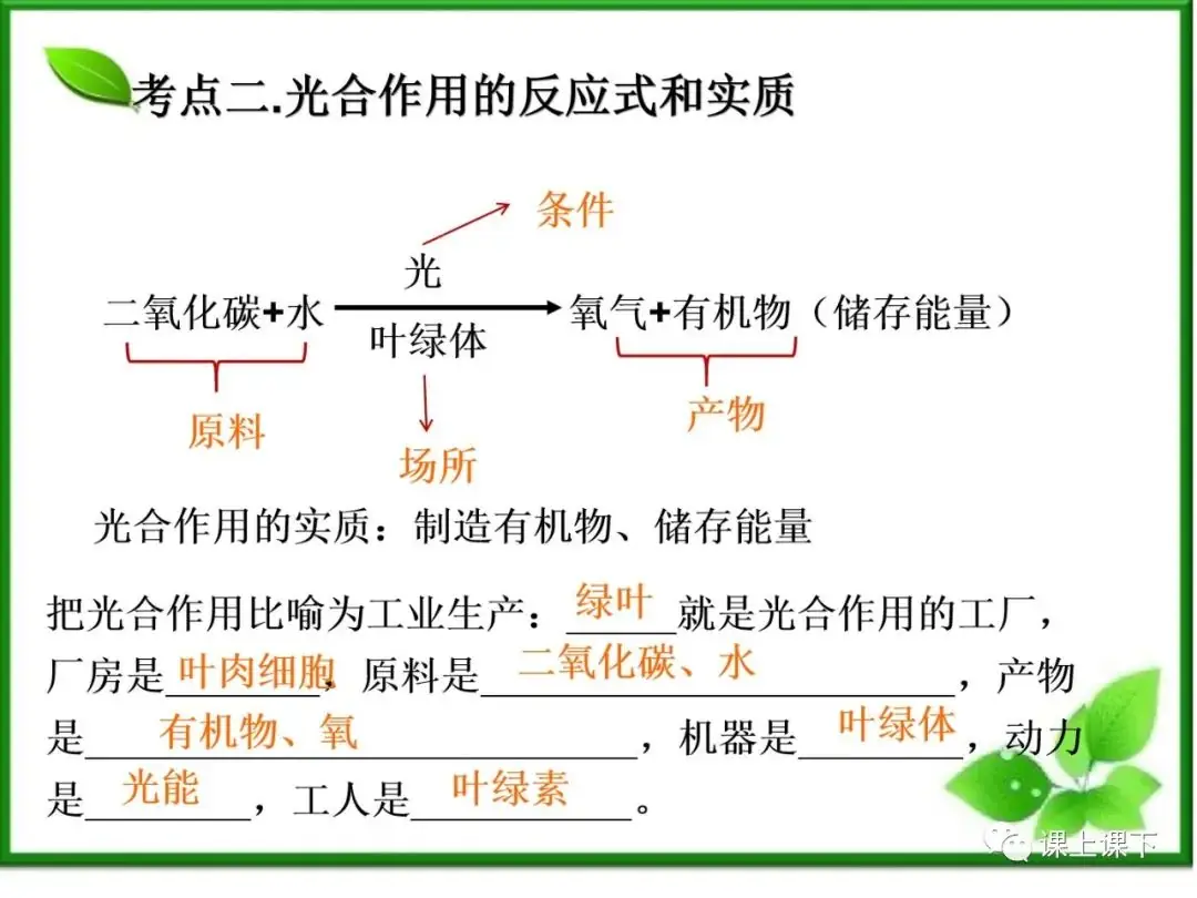小中考复习课件7-----初一下绿色植物的光合作用-第4张图片-四季读书网