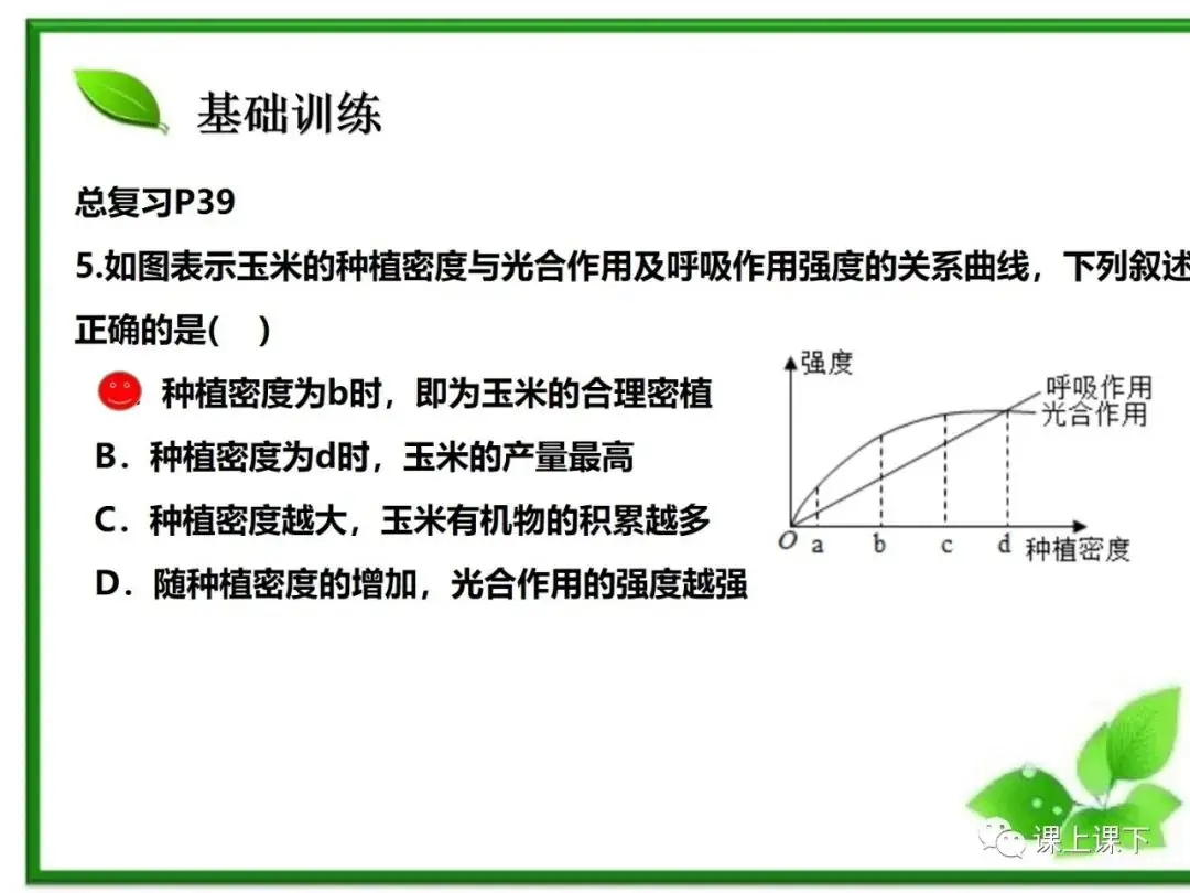 小中考复习课件7-----初一下绿色植物的光合作用-第27张图片-四季读书网