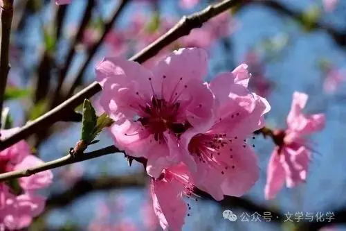 中考易错易混提醒1011-第1张图片-四季读书网