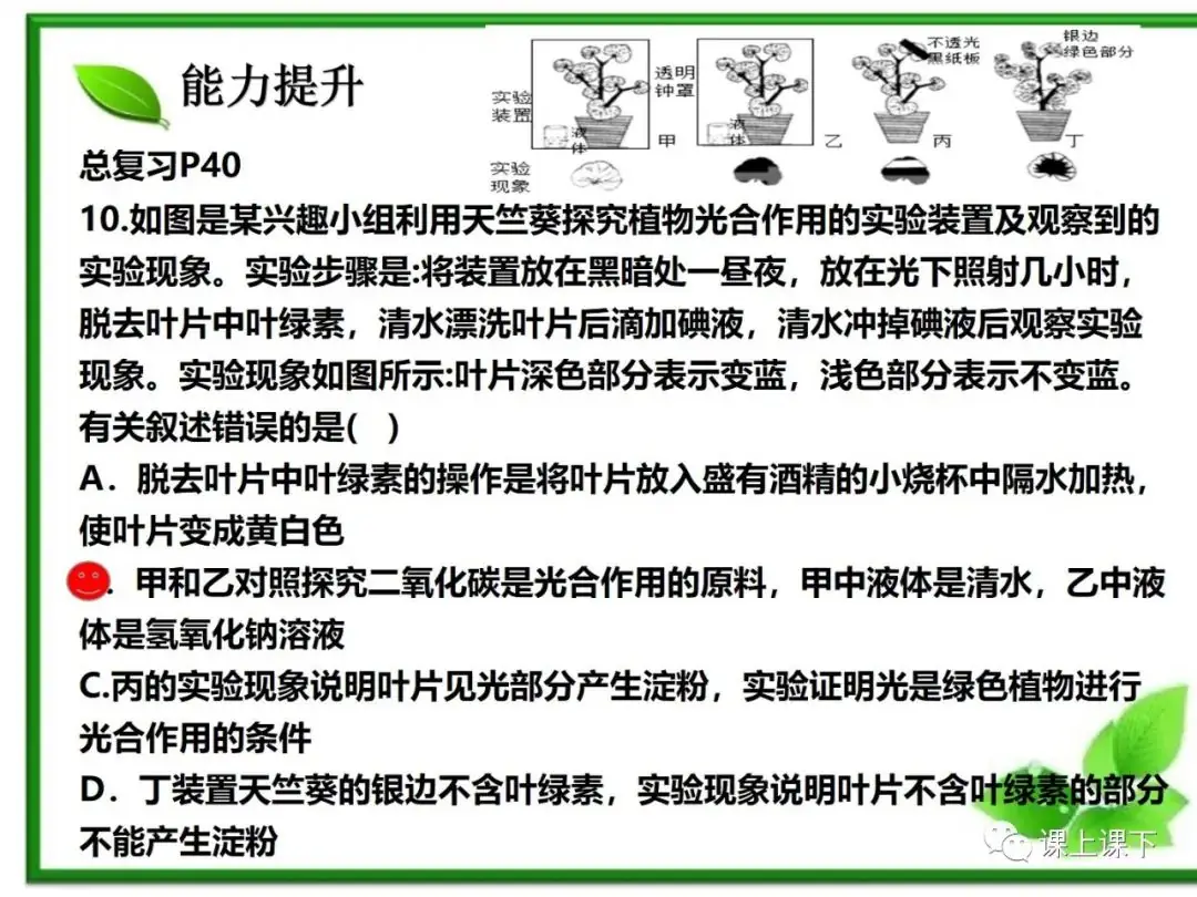 小中考复习课件7-----初一下绿色植物的光合作用-第29张图片-四季读书网
