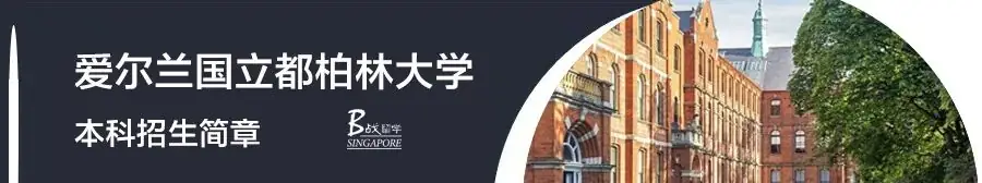 【新加坡·B战留学】孩子中考升学难,推荐新加坡留学,让他实现弯道超车!-第9张图片-四季读书网 【新加坡·B战留学】孩子中考升学难,推荐新加坡留学,让他实现弯道超车!-第9张图片-四季读书网