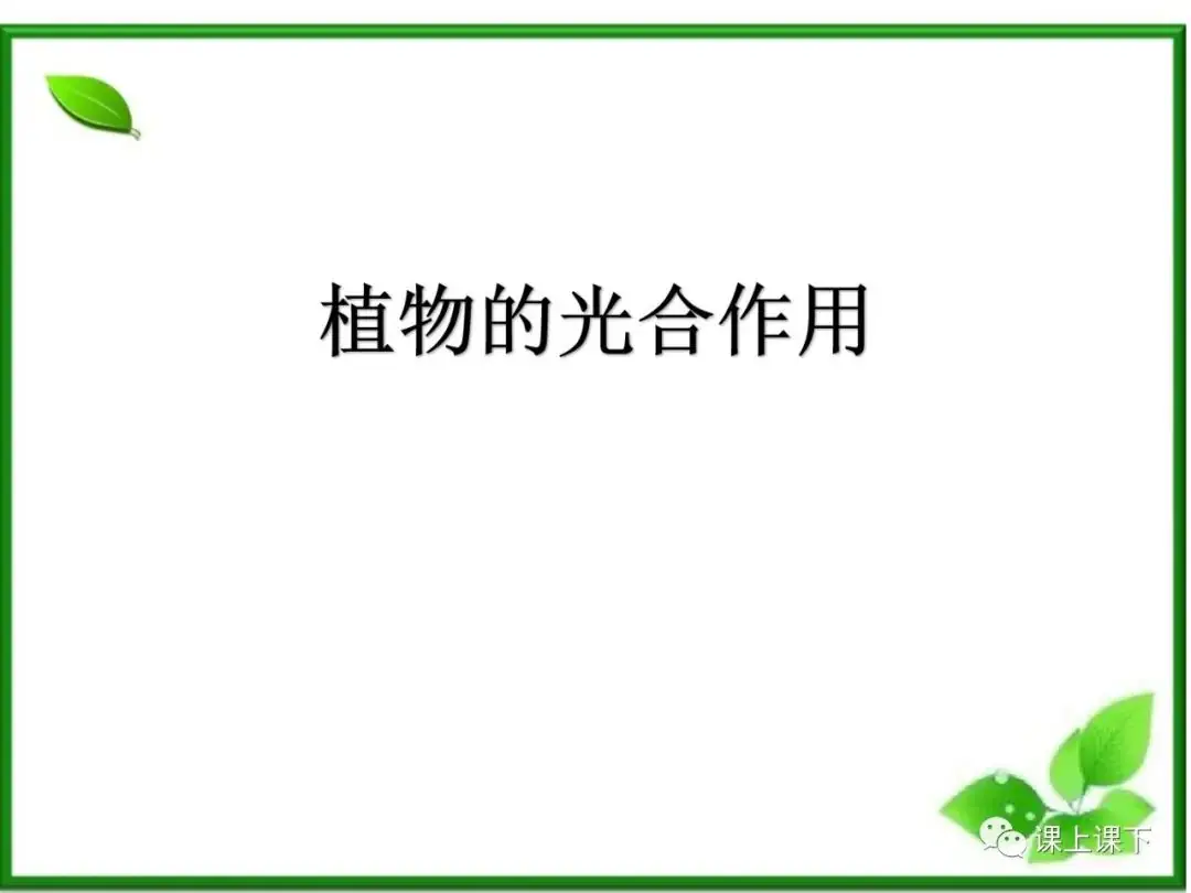 小中考复习课件7-----初一下绿色植物的光合作用-第2张图片-四季读书网