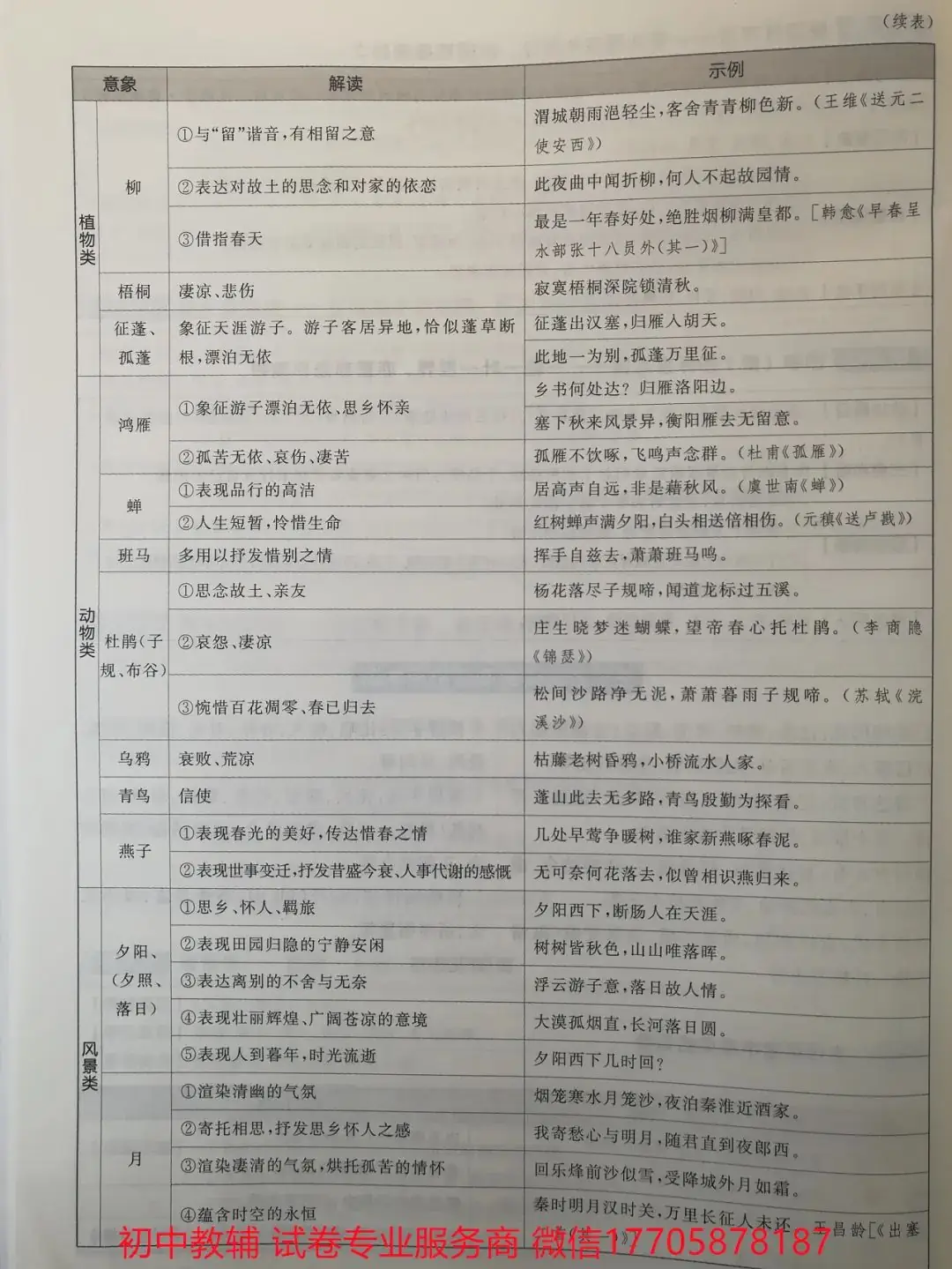 2024全品中考 复习方案 语文-第60张图片-四季读书网