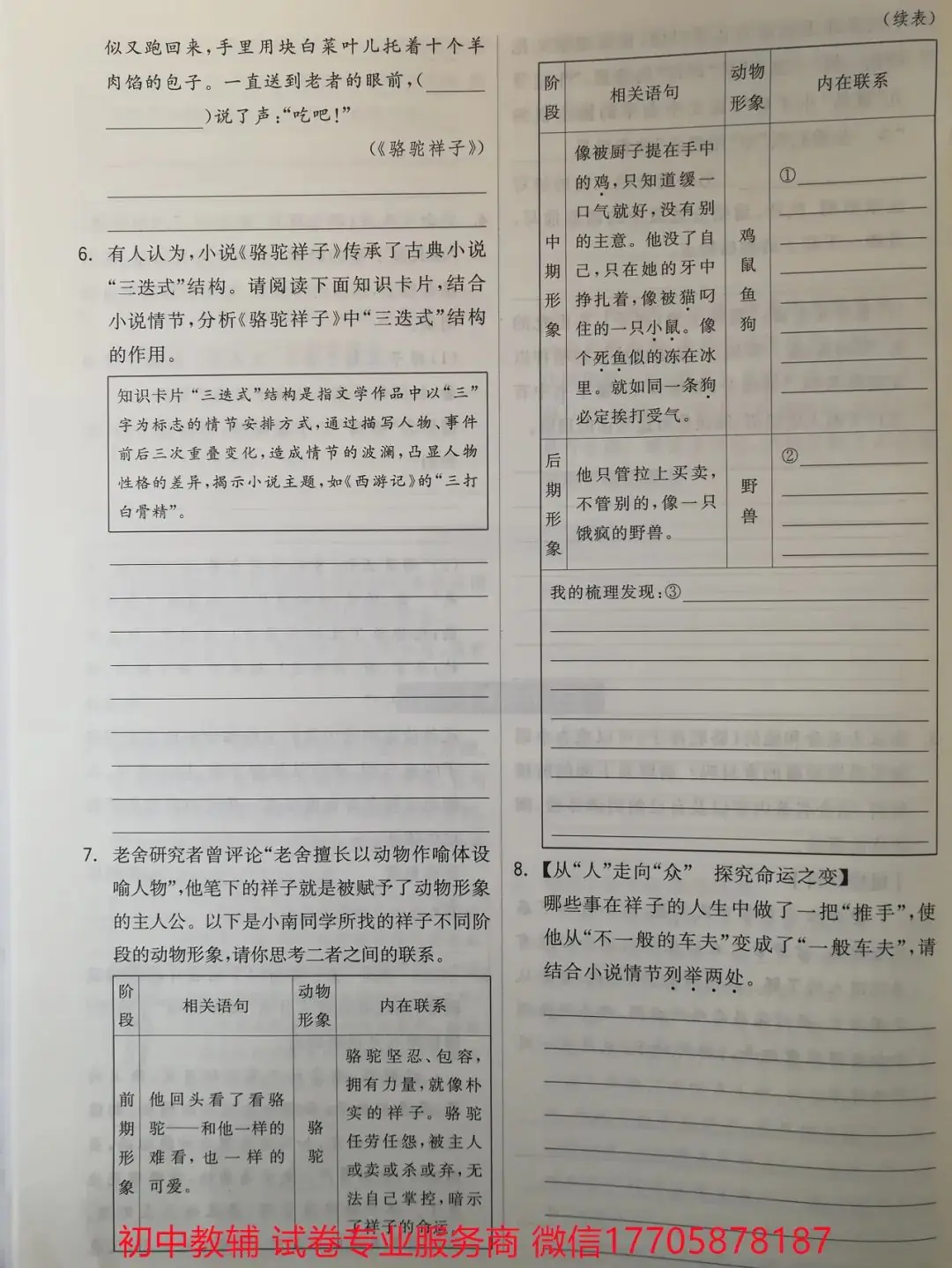 2024全品中考 复习方案 语文-第87张图片-四季读书网