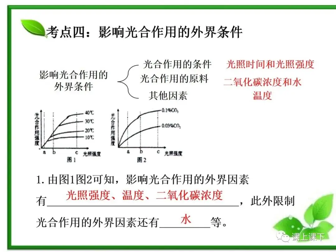 小中考复习课件7-----初一下绿色植物的光合作用-第22张图片-四季读书网