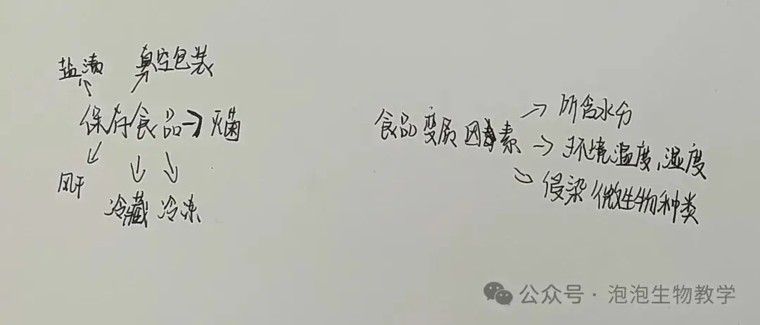 学生绘图2:思维导图运用到中考复习中-第2张图片-四季读书网