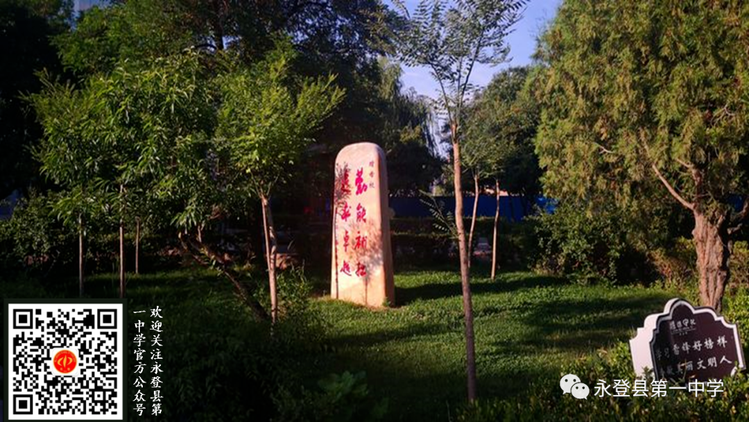 永登县2024年高考九科教师全员培训 · 化学-第10张图片-四季读书网