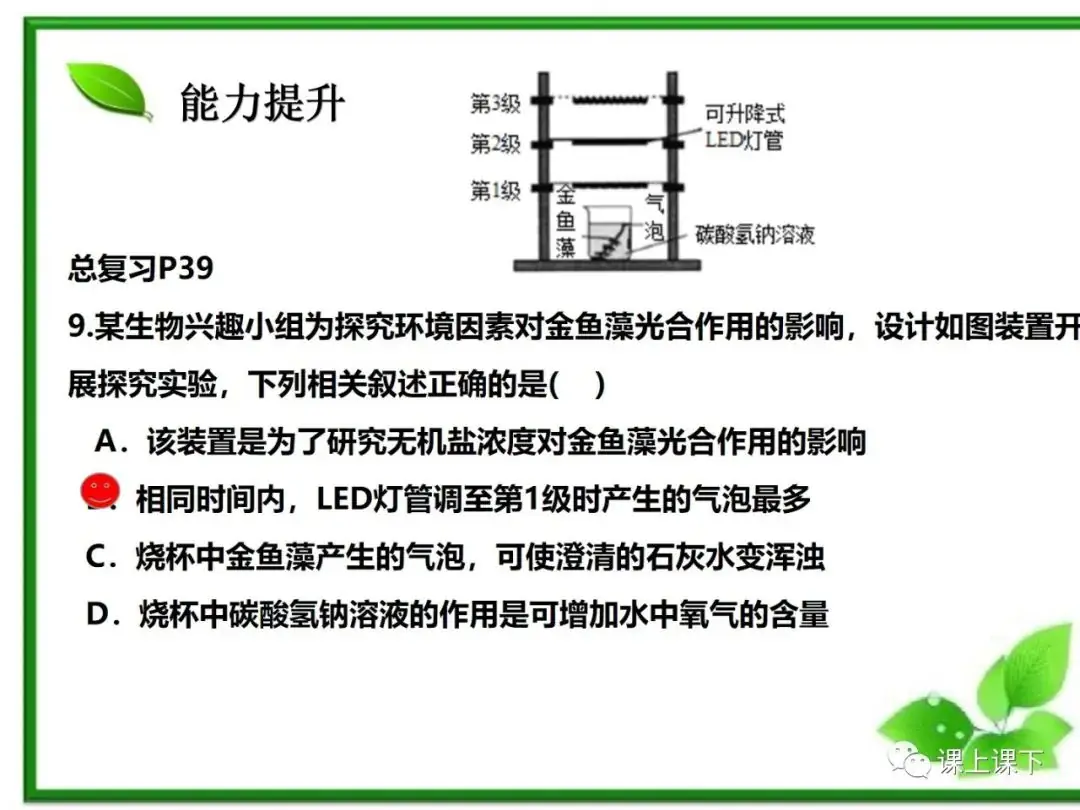小中考复习课件7-----初一下绿色植物的光合作用-第28张图片-四季读书网