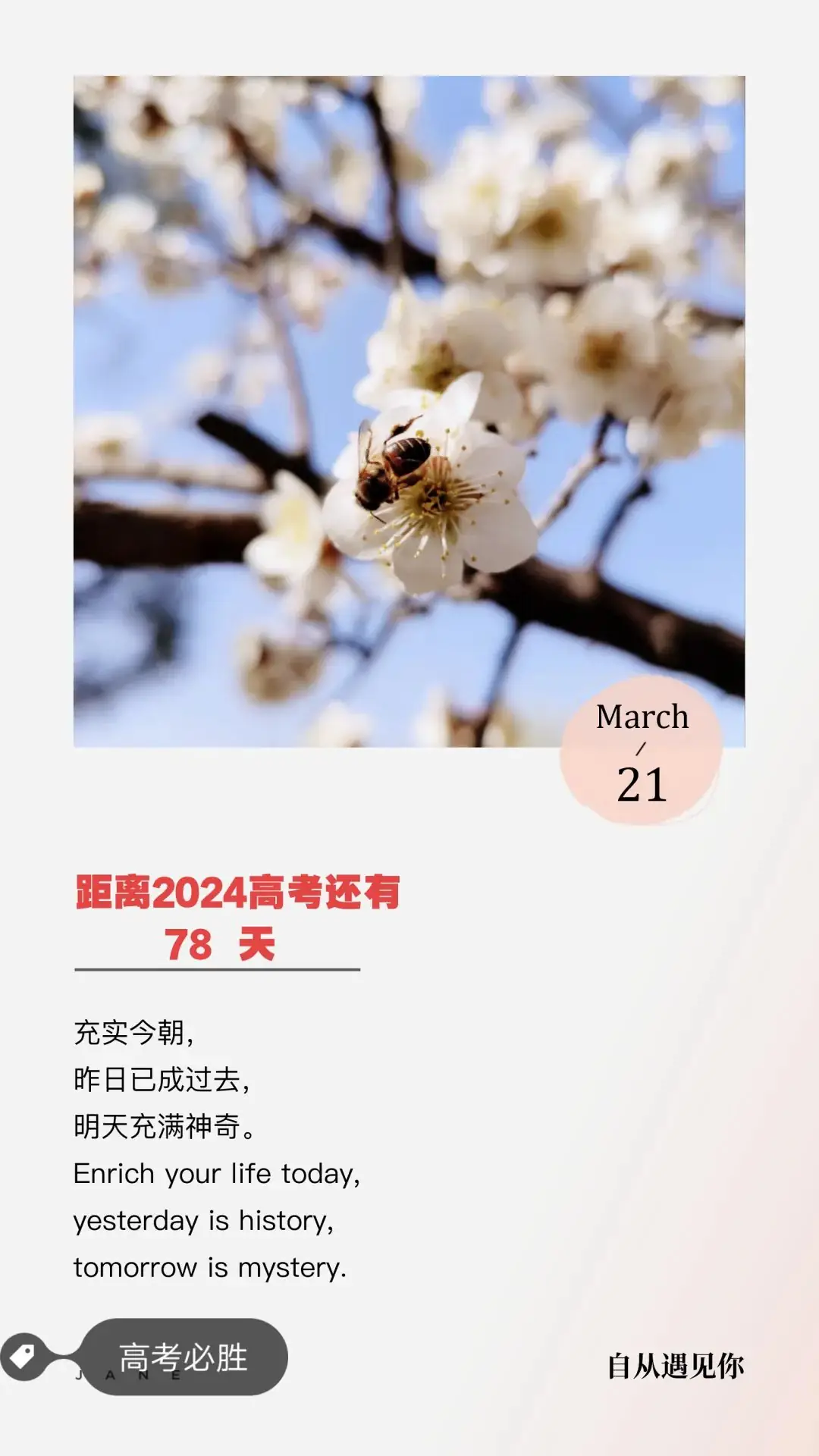 2024高考倒计时: 78 天-第1张图片-四季读书网