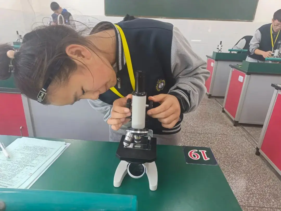 中考实验操作考试如何得满分?高新区理化生名师工作室来支招!-第4张图片-四季读书网 中考实验操作考试如何得满分?高新区理化生名师工作室来支招!-第4张图片-四季读书网