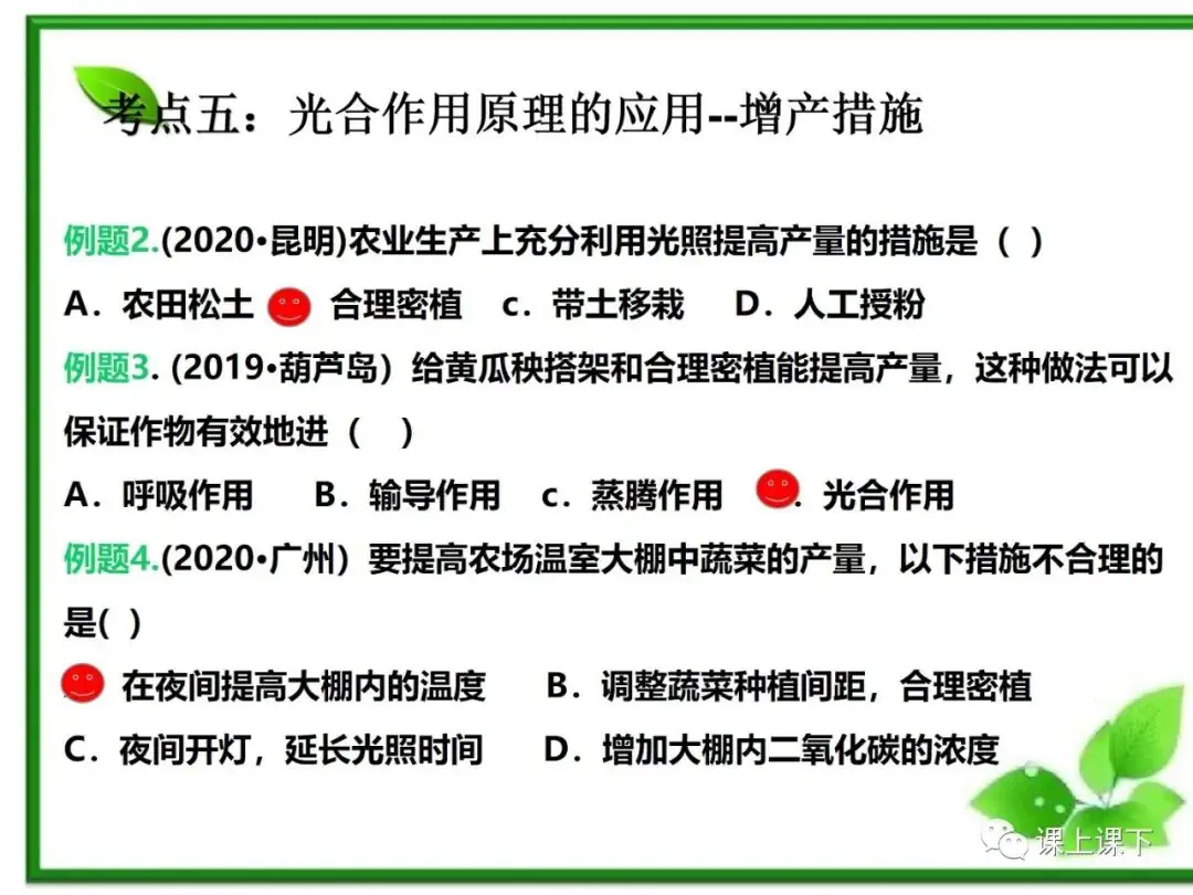 小中考复习课件7-----初一下绿色植物的光合作用-第24张图片-四季读书网