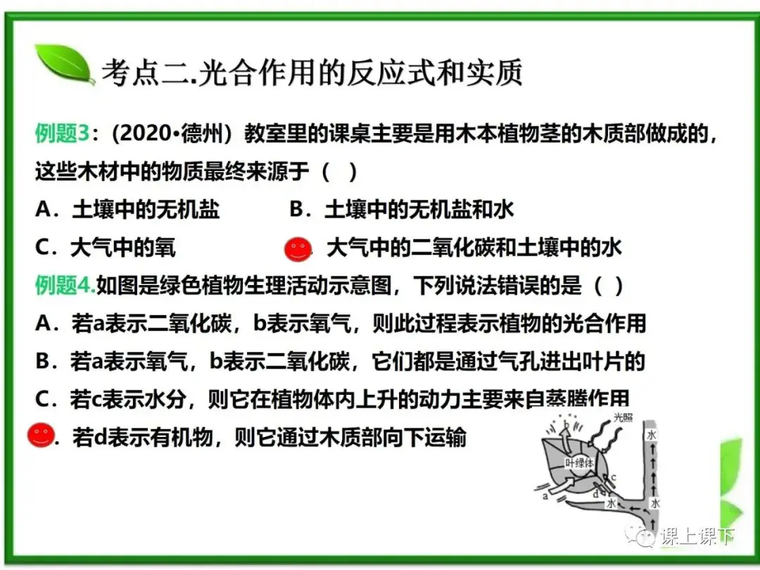 小中考复习课件7-----初一下绿色植物的光合作用-第7张图片-四季读书网
