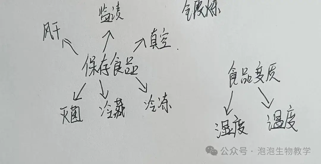 学生绘图2:思维导图运用到中考复习中-第1张图片-四季读书网