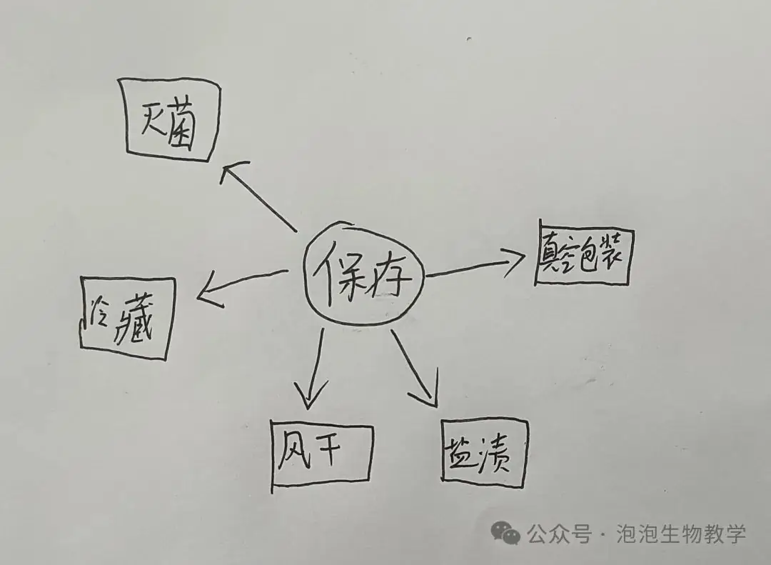 学生绘图2:思维导图运用到中考复习中-第3张图片-四季读书网