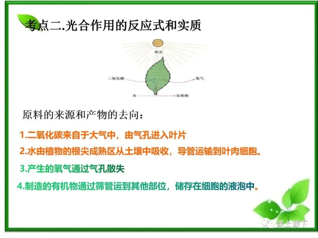 小中考复习课件7-----初一下绿色植物的光合作用-第5张图片-四季读书网