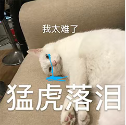 近7年上海中考数学真题,含解析(2017~2023)-第1张图片-四季读书网 近7年上海中考数学真题,含解析(2017~2023)-第1张图片-四季读书网