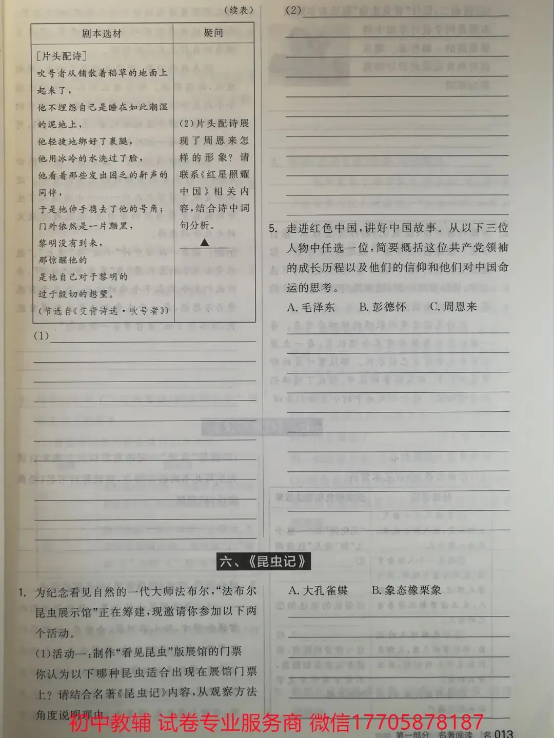 2024全品中考 复习方案 语文-第90张图片-四季读书网