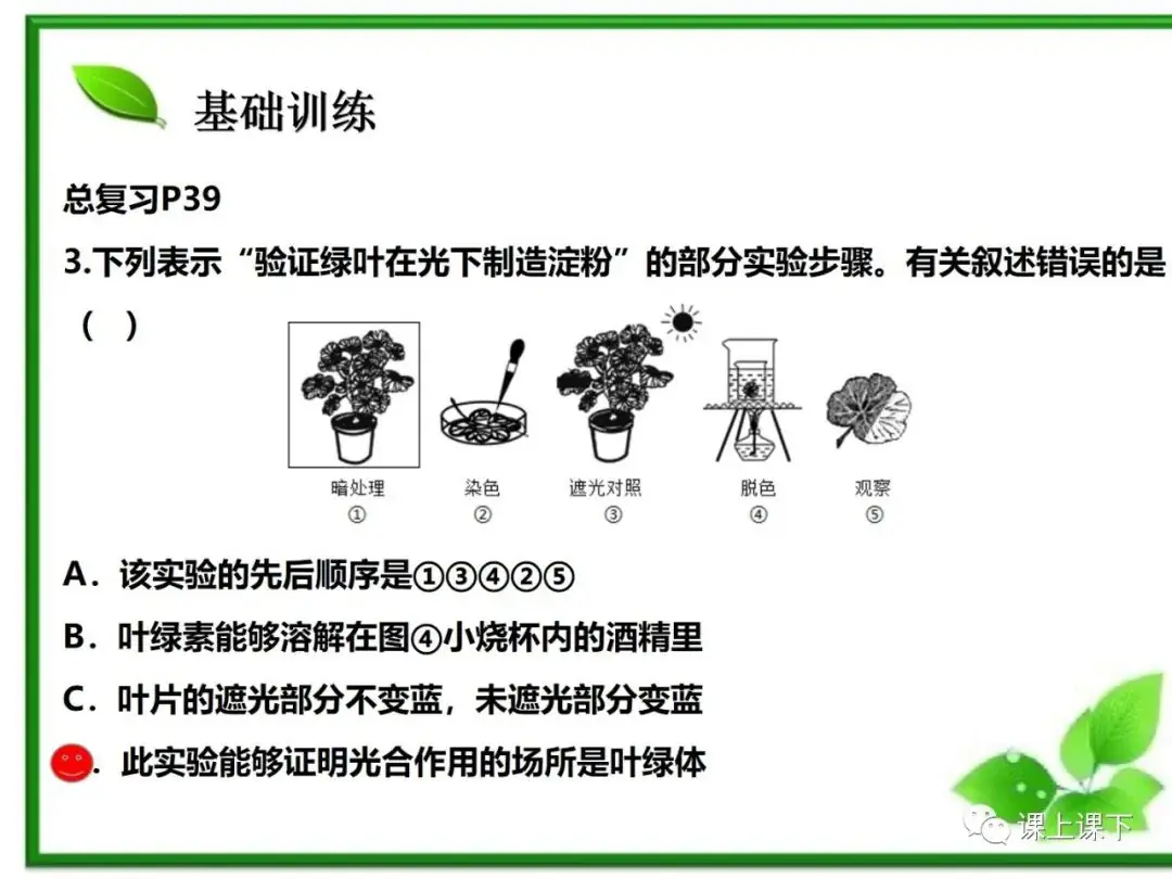 小中考复习课件7-----初一下绿色植物的光合作用-第25张图片-四季读书网