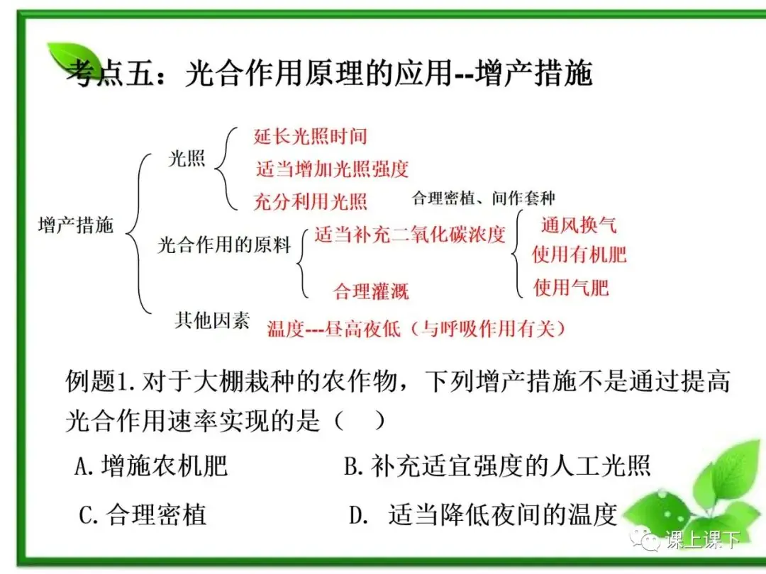 小中考复习课件7-----初一下绿色植物的光合作用-第23张图片-四季读书网