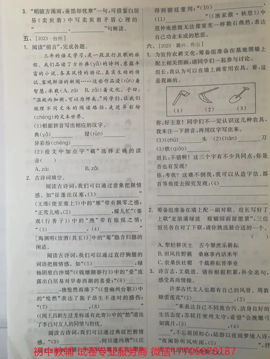 2024全品中考 复习方案 语文-第115张图片-四季读书网