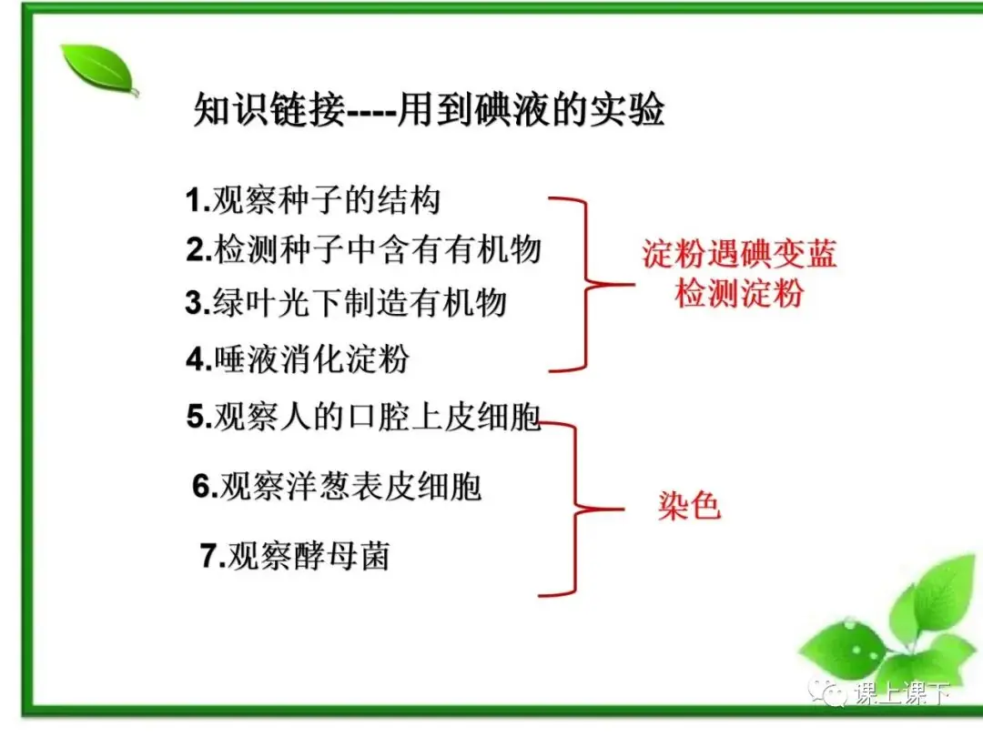 小中考复习课件7-----初一下绿色植物的光合作用-第16张图片-四季读书网