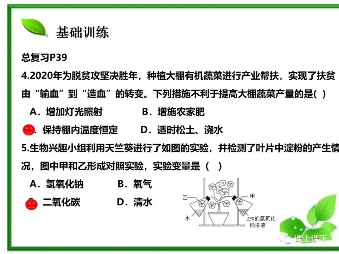 小中考复习课件7-----初一下绿色植物的光合作用-第26张图片-四季读书网