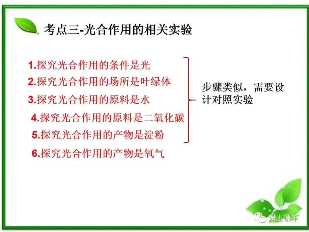 小中考复习课件7-----初一下绿色植物的光合作用-第8张图片-四季读书网