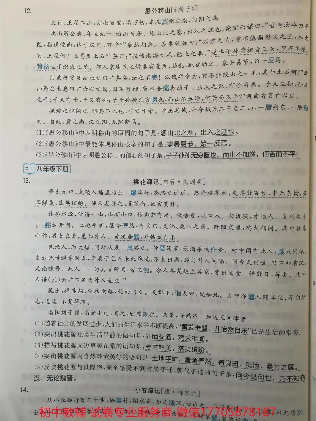 2024全品中考 复习方案 语文-第33张图片-四季读书网