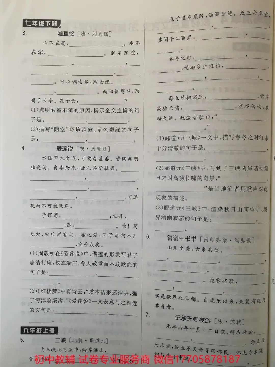 2024全品中考 复习方案 语文-第48张图片-四季读书网