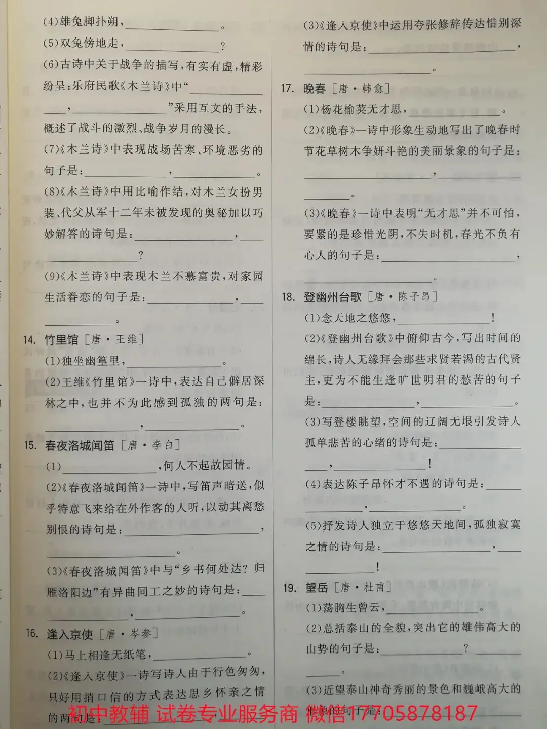 2024全品中考 复习方案 语文-第46张图片-四季读书网