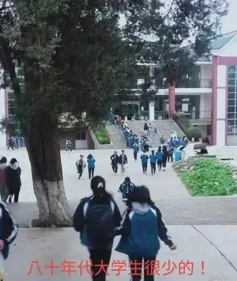 1981年高中毕业,好多同学没有参加高考!-第4张图片-四季读书网