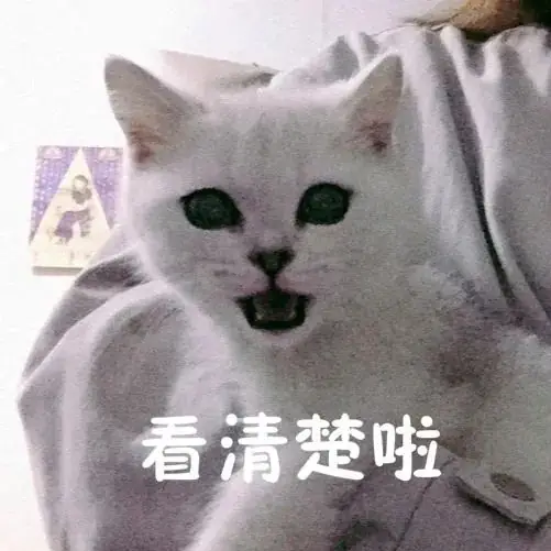 报名即将开始!2024深圳中考全攻略来了!指标生尤其要关注!-第1张图片-四季读书网